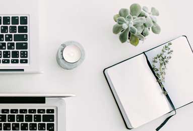 观点：合作模式下的《丝之歌》是2025年蜂巢思维的亮点